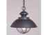 Vaxcel Harwich 10 Inch Outdoor Pendant Model: OD21506BBZ
